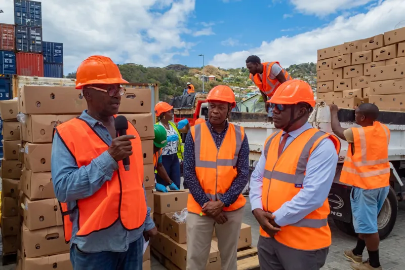 Participants in safety clothing beside stacked produce boxes at a port