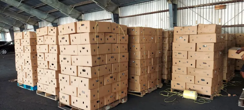 Produce boxes stacked on pallets inside a warehouse
