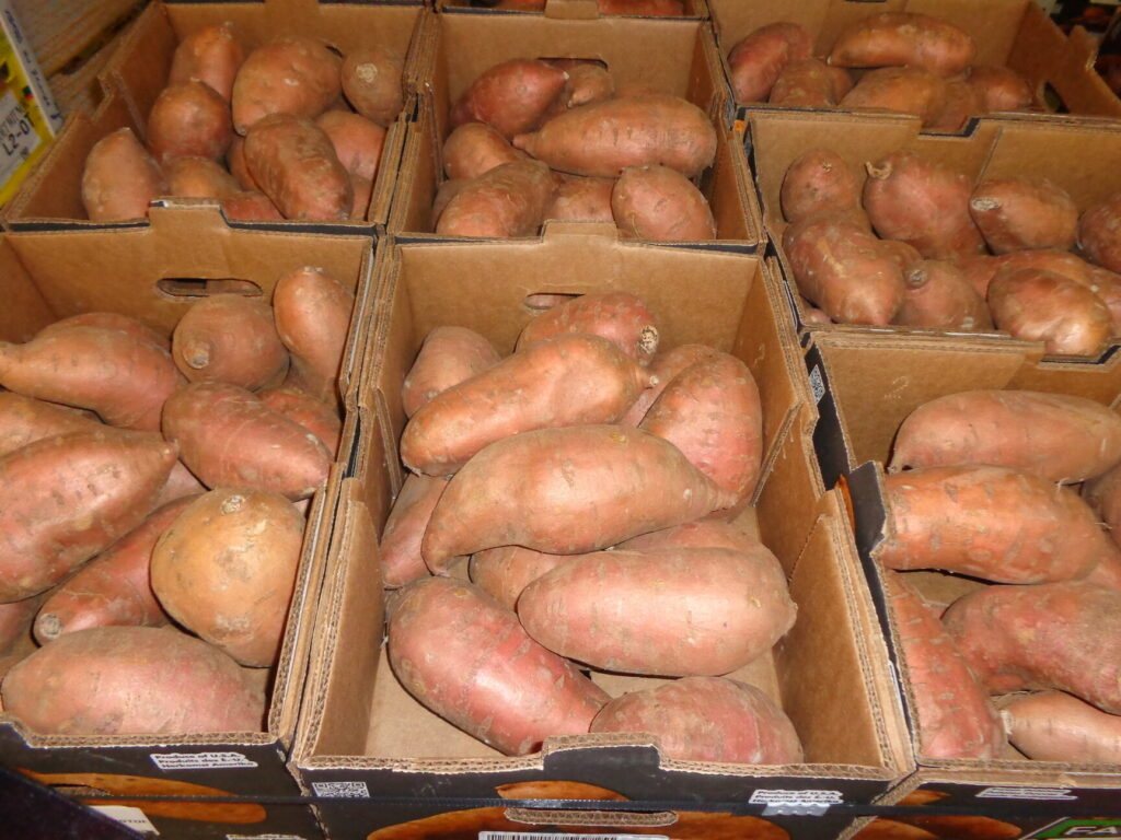 Sweet potatoes featured by ECTAD Caribbean